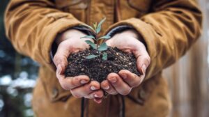 Giardinaggio in Inverno: Attività e Preparazione