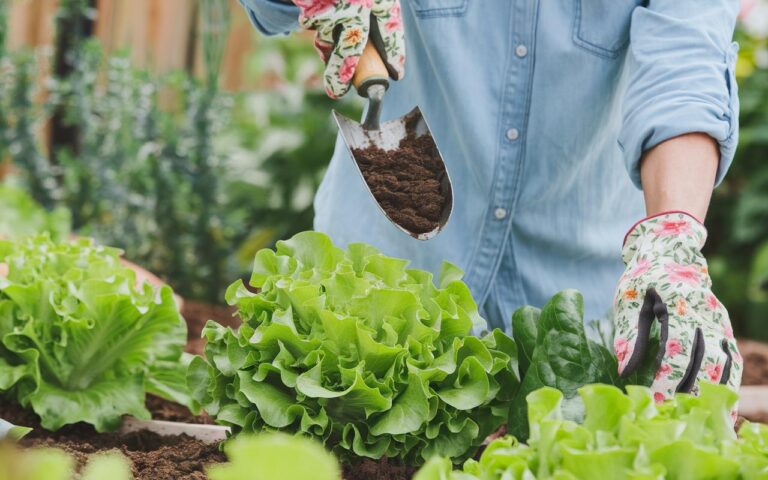 “Le lumache distruggevano il mio giardino finché non ho scoperto questo trucco sconosciuto approvato dagli esperti”