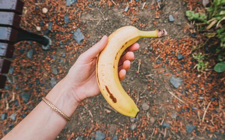 Le persone mettono banane nei loro giardini questo novembre – e non è strano come sembra