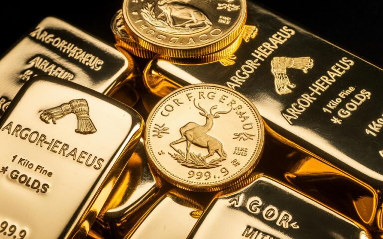 Scavando un buco nel suo giardino per la futura piscina, questo abitante non si aspettava di fare questa incredibile scoperta!